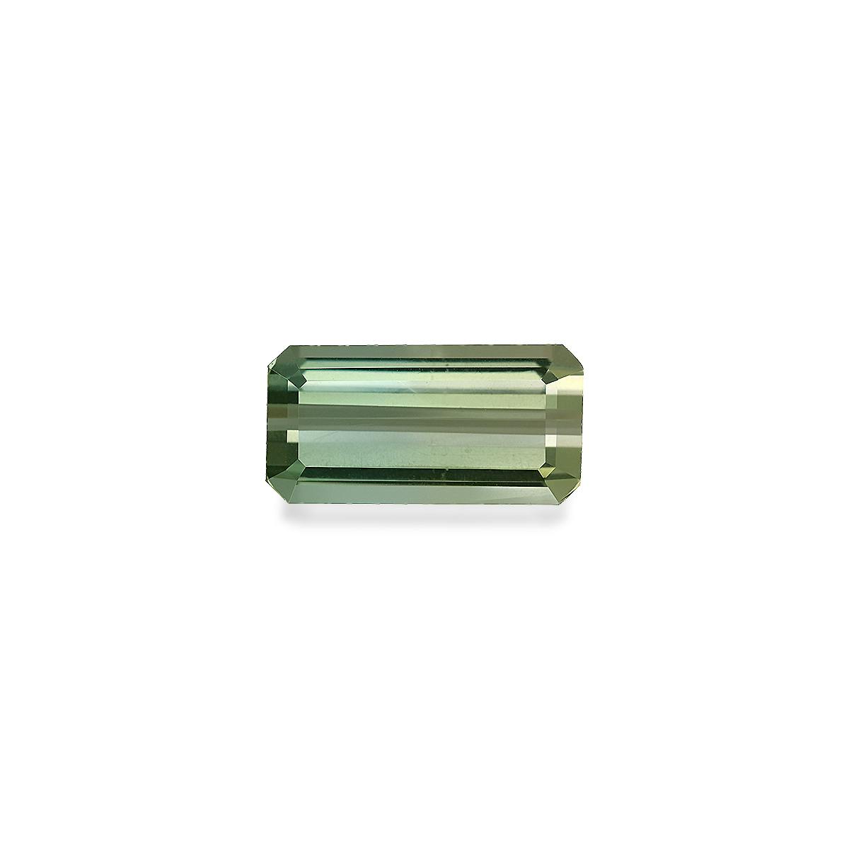 Bi Colour Tourmaline 15.48 ct